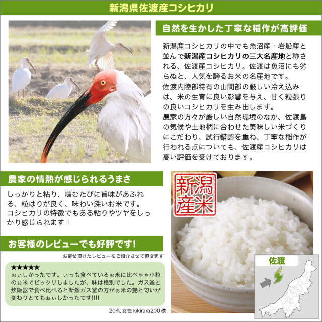 地域限定】令和7年産 新潟県佐渡産コシヒカリ玄米 25kg