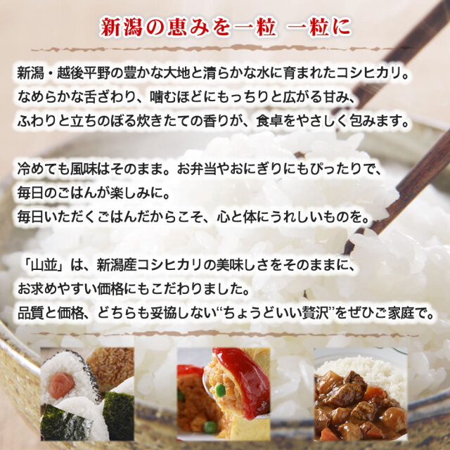令和7年産新潟県産コシヒカリ 山並 15kg