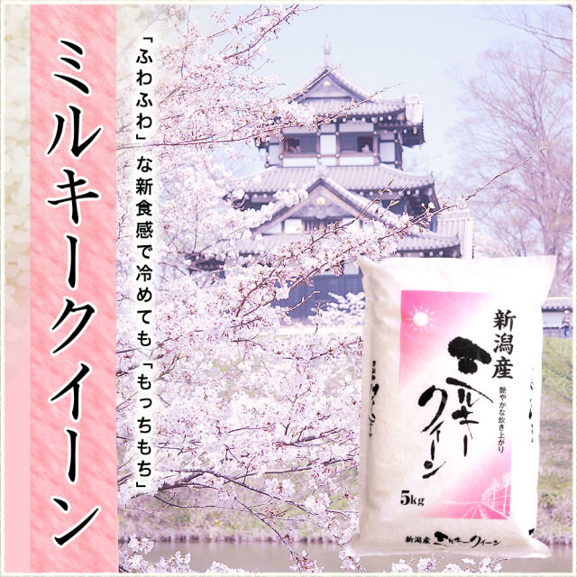 滋賀県産ミルキークィーン令和6年産玄米（5Kg×3）JA検査1等おまけ付き 楽天市場】ミルキークイーン 令和6年産 10kg 20kg 30kg 選別済