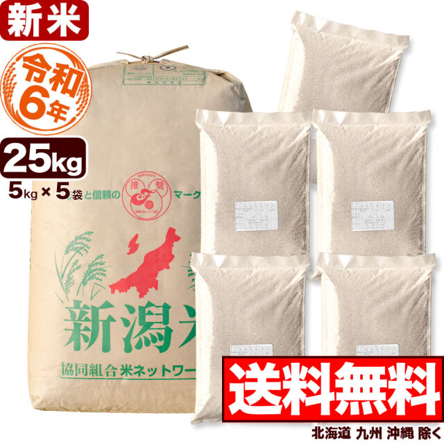 引取限定！大阪堺産 ヒノヒカリ 令和6年 玄米60kg