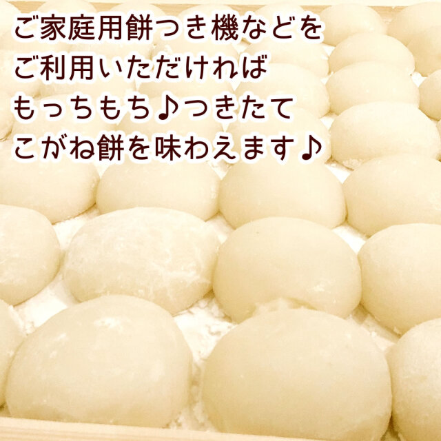 令和7年産 新潟県産こがねもち米 15kg
