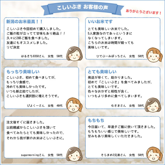 【精米】令和2年産 新潟産 こしいぶき 25kg(5kg×5） 新潟県産 こしいぶき 5kg 【精白米】 令和6年産 米 お米 - アスクル