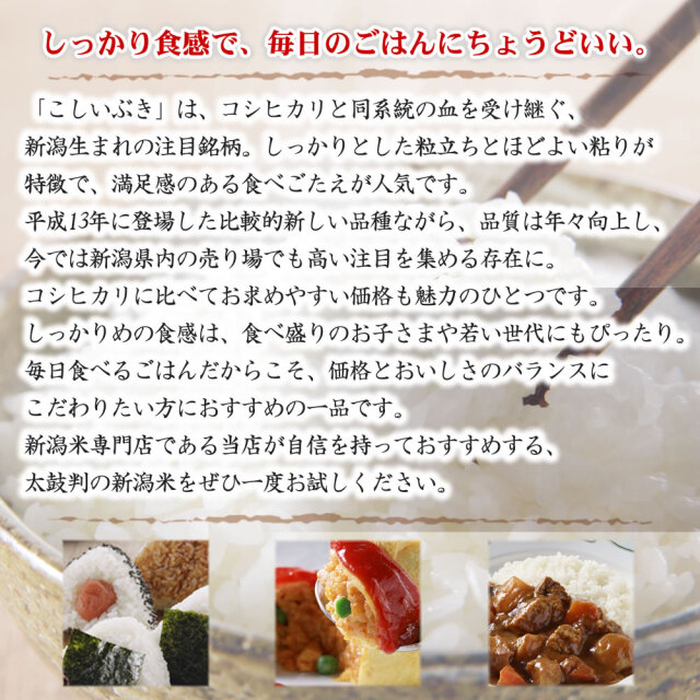 新米　新潟産こしいぶき令和6年　白米10kg 8e6245d7d2c12244a82c5a87c3a15d
