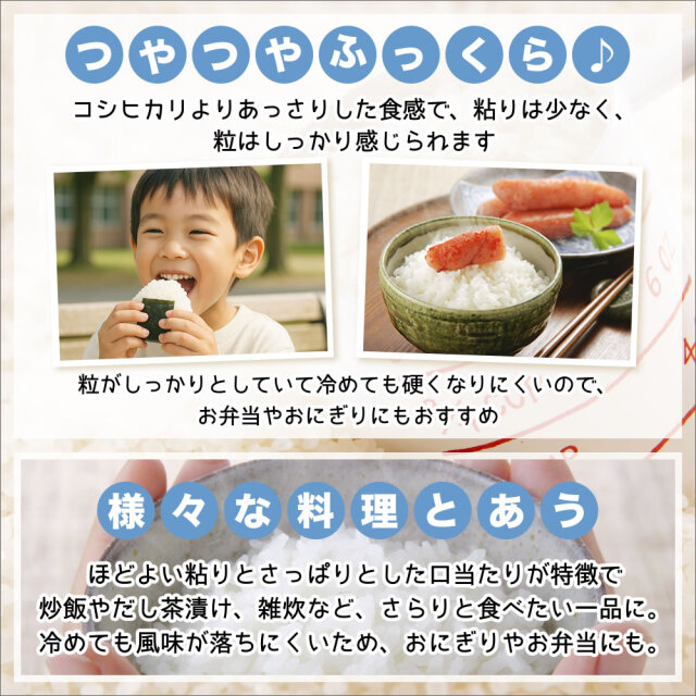 令和6年産：新潟産こしいぶき 5kg HACCP認証米 精米25.03下旬 Amazon.co.jp: 新潟産 こしいぶき 和紙調 5kg 令和6年産 : 食品