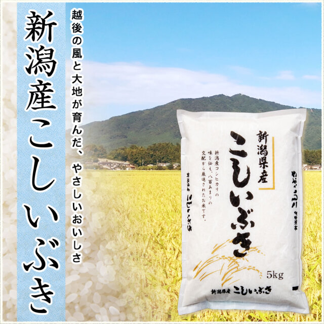 令和6年産 新潟県産こしいぶき 5kg