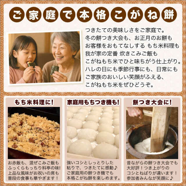 6年度産　こがねもち　25キロ 新潟直送計画】令和6年度米 新潟産こがねもち（もち米） – 小林園芸