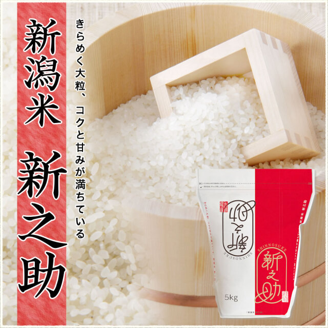 50本 5種×10本 v.e.m.niigataさん専用 令和7年産 新潟県産 新之助 5kg