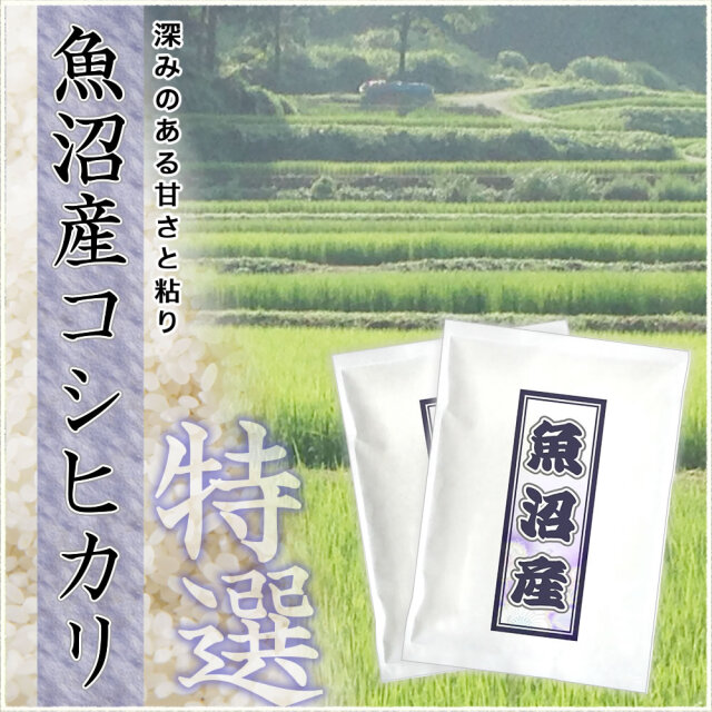 お試し】特選 令和7年産 魚沼産コシヒカリ 300g×2袋