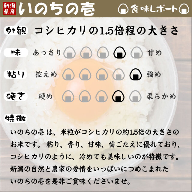 新潟産 いのちの壱 5kg 令和7年産