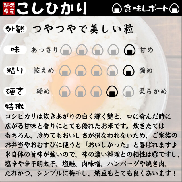 令和7年産 新潟産コシヒカリ花火 10kg(5kgx2袋)
