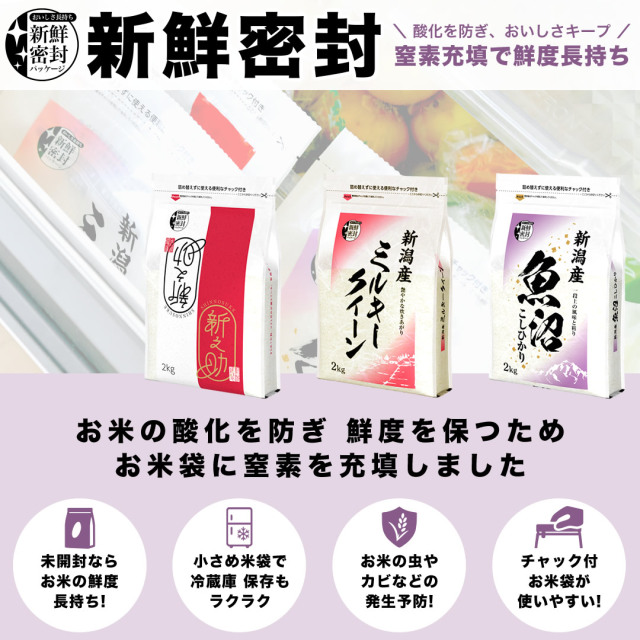 新之助 10kg 令和6年産新米】送料無料（一部除く） 新之助 10kg 「おかじま米店」