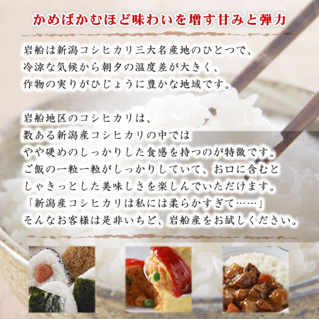 地域限定】令和7年産新潟県岩船産コシヒカリ 10kg