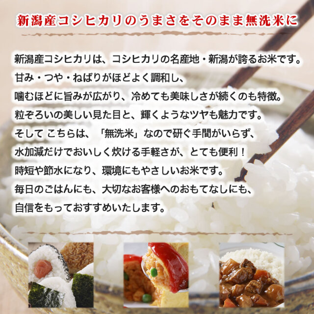 無洗米】令和7年産 新潟県産コシヒカリ 吟精 5kg