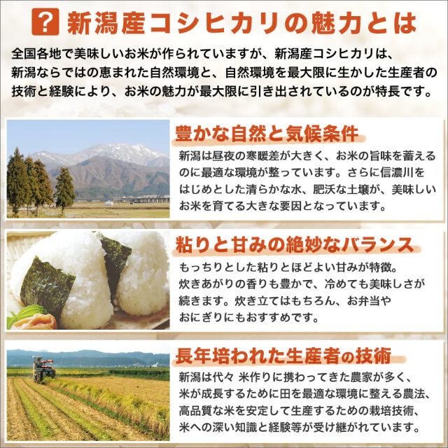 令和7年産 新潟県産コシヒカリ 山並 5kg