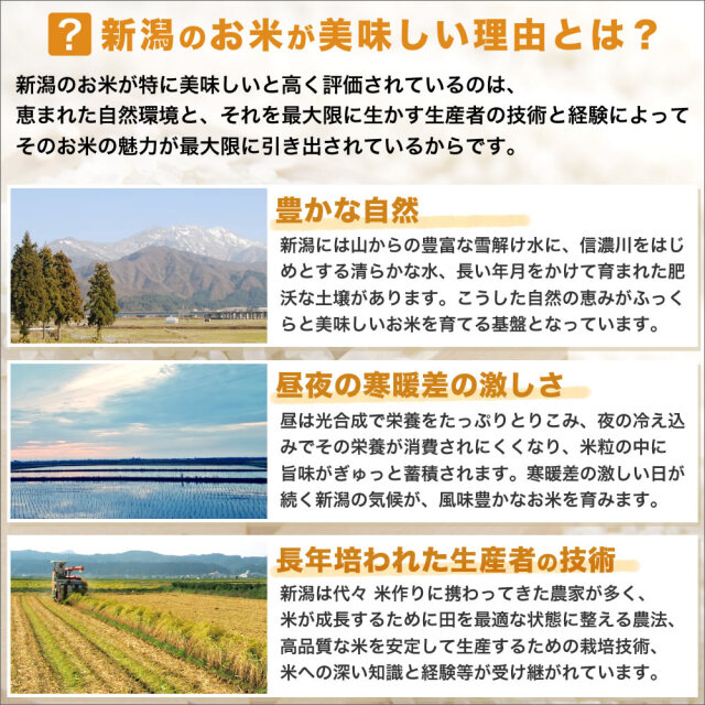 令和7年産もち米　15キロ 令和7年産 新潟県産こがねもち米 15kg