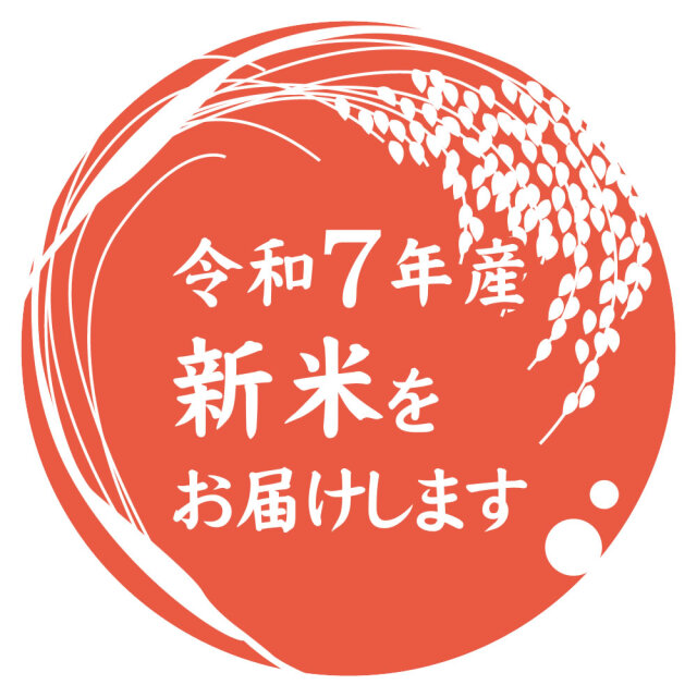 令和7年産 新潟県産 新之助 10kg（2kg×5袋）新鮮密封 窒素充填包装