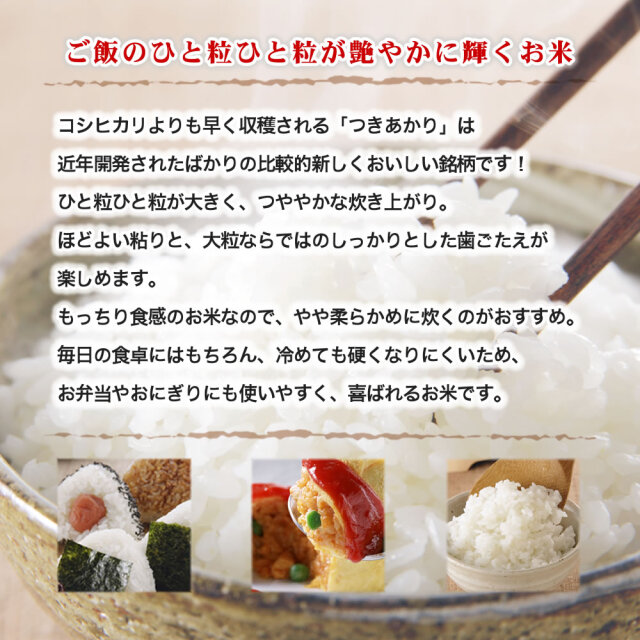 令和7年産 新潟県産つきあかり 10kg