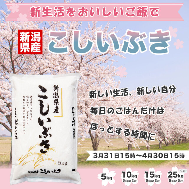 残り1名　新潟県産　こしいぶき新米　10kg精米済み 新潟県産こしいぶき精米10kg