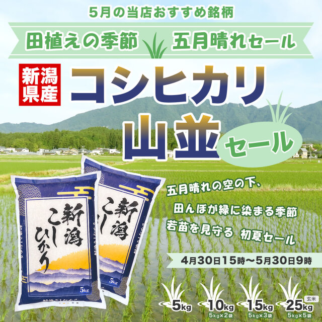令和7年産新潟県産コシヒカリ 山並 15kg