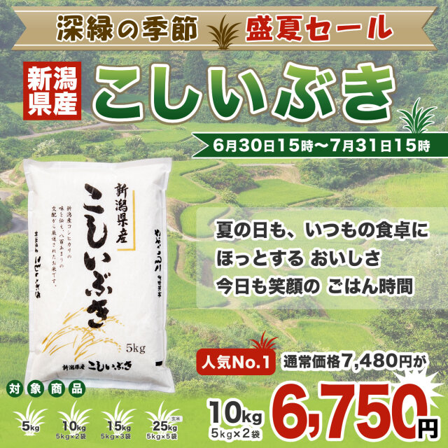 令和7年産新潟県産こしいぶき 10kg