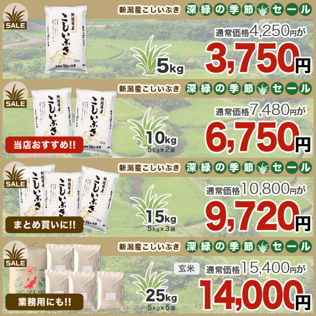 令和7年産新潟県産こしいぶき 10kg