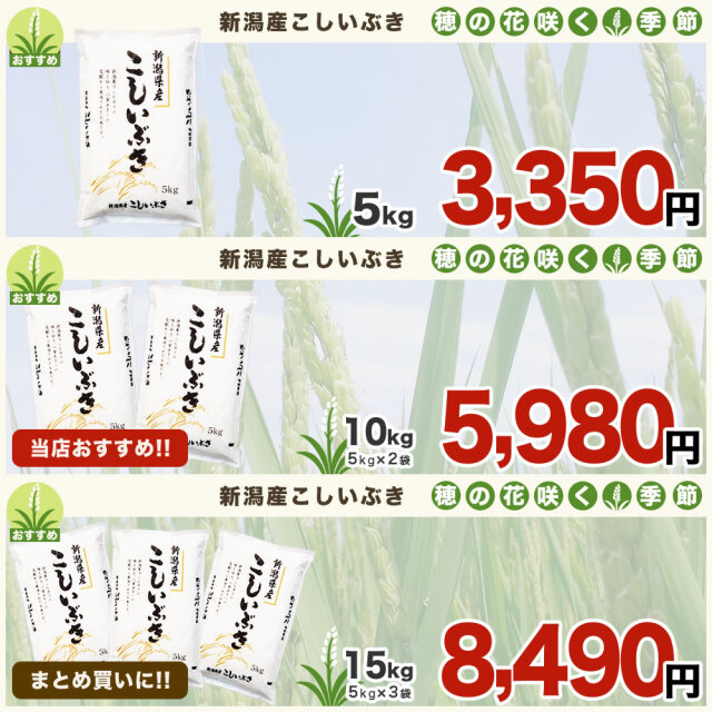 令和7年産新潟県産こしいぶき 10kg