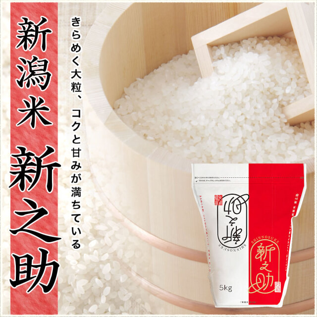 新米・令和7年産　新潟　新之助　白米5kg × 2個★農家直送★色彩選別済13 令和7年産 新潟県産 新之助 5kg