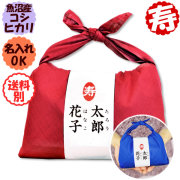 【令和7年産 魚沼産コシヒカリ】バンダナ包み「結」（300g×2袋入） 【8個以上送料無料】（北海道、九州、沖縄除く）
