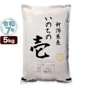 令和7年産 新潟産 いのちの壱 5kg 米