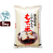 令和7年産 新潟産 こがねもち米 5kg 米