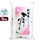 令和7年産 新潟産 ミルキークイーン 5kg 米
