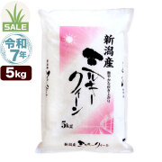令和7年産 新潟産 ミルキークイーン 5kg 米 もちもち食感 初夏セール