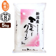 【新米予約】令和8年産 新潟産 ミルキークイーン 5kg 米 もちもち食感 9月17日頃発送予定