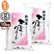 【新米予約】令和8年産 新潟産 ミルキークイーン 10kg（5kg×2袋） 米 もちもち食感 9月17日頃発送予定