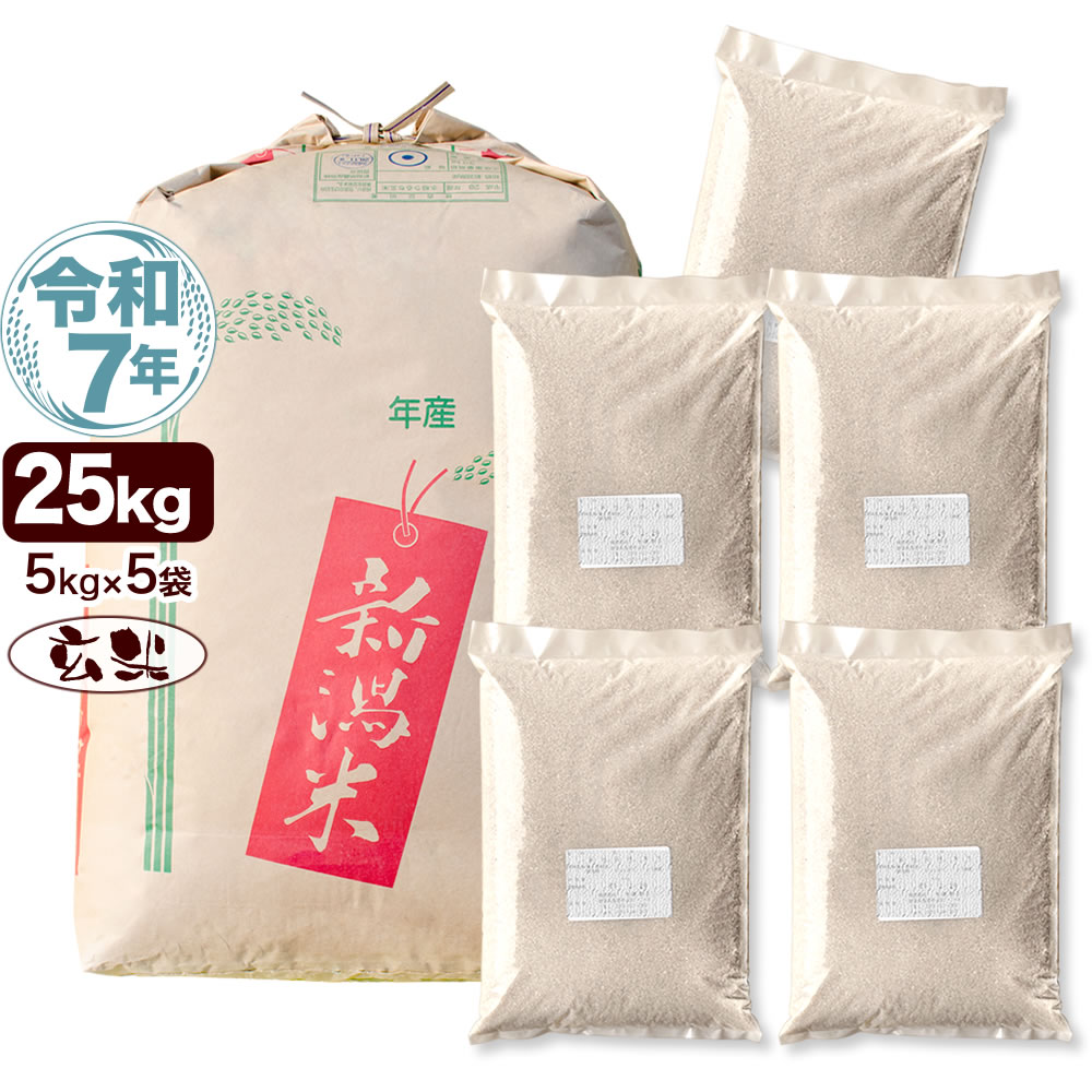 令和7年産新潟県産こしいぶき 10kg