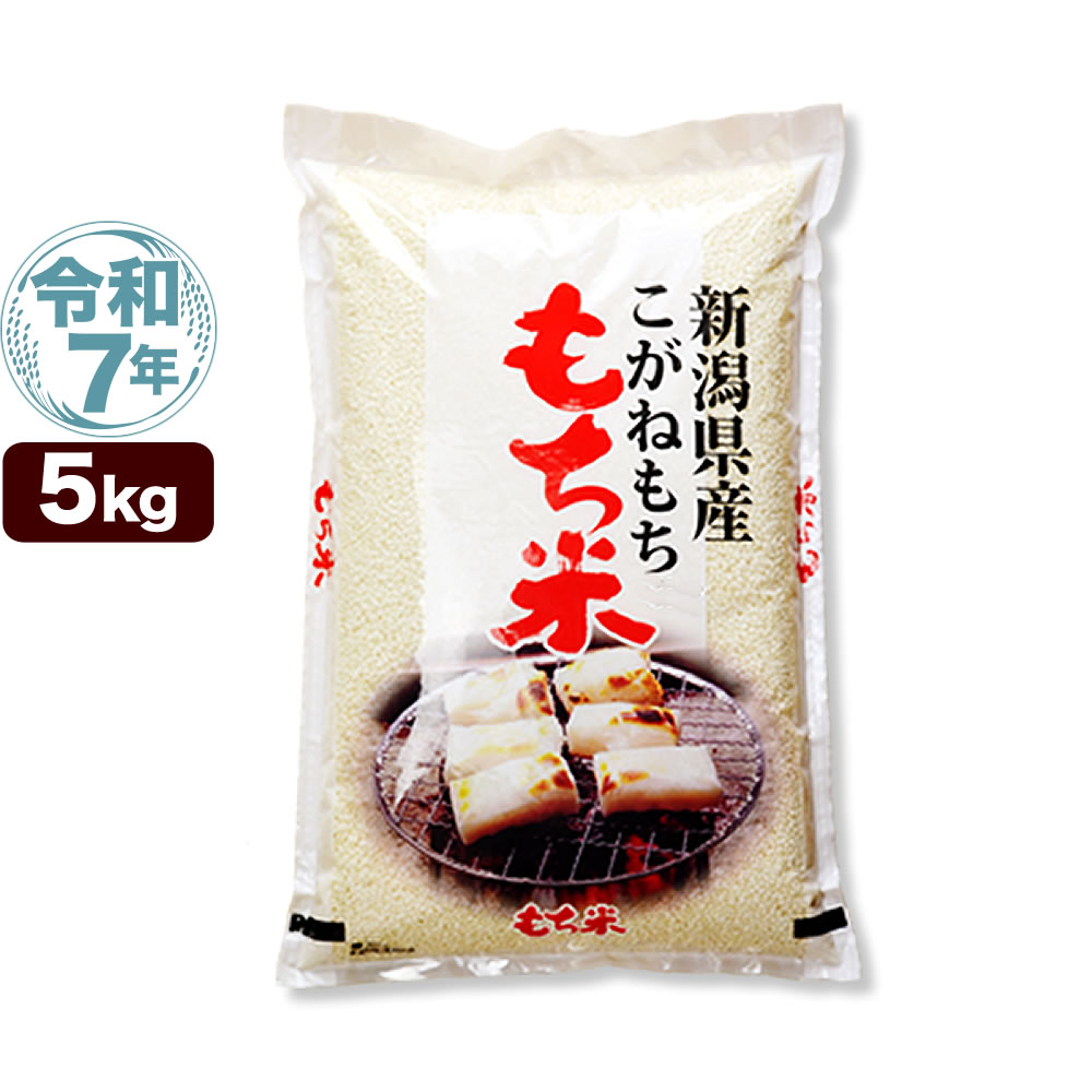 令和7年産 新潟産 こがねもち米 5kg 米