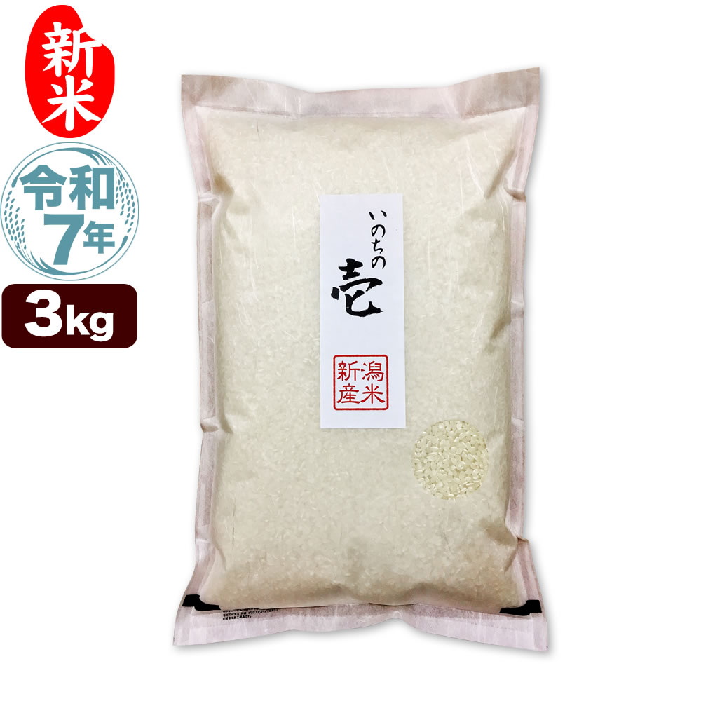 新米 令和7年産 新潟産 いのちの壱 3kg 米