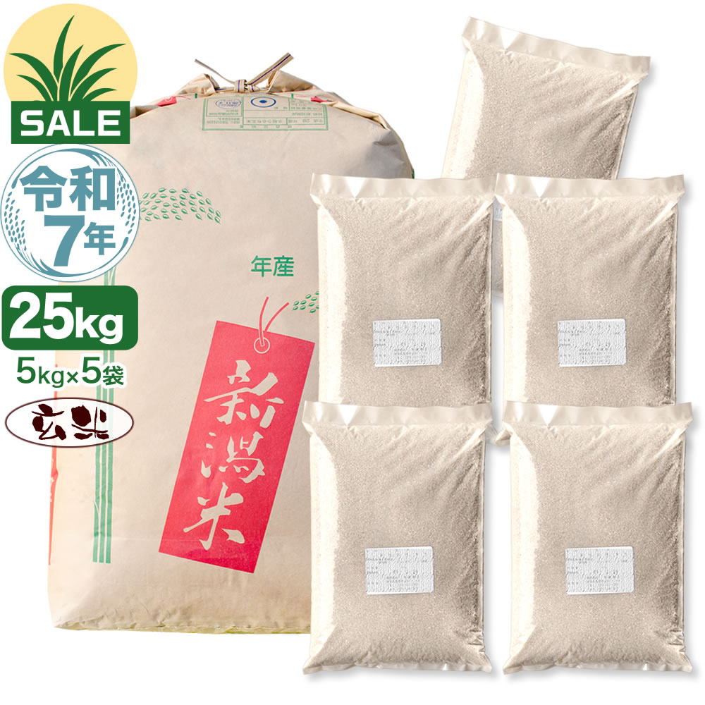 令和7年産 新潟産 こしいぶき 25kg(5kg×5袋) 玄米 盛夏セール