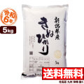 令和6年産 新潟県産キヌヒカリ 5kg