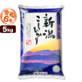 新潟県産コシヒカリ 山並 5kg 令和6年産