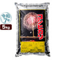 令和7年産 新潟産 コシヒカリ 花火 5kg 米