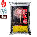 新米 令和7年産 新潟産 コシヒカリ 花火 5kg 米