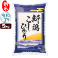 新米 令和7年産 新潟産 コシヒカリ 山並 5kg 米