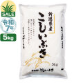 令和7年産 新潟産 こしいぶき 5kg 米 盛夏セール