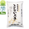 令和7年産 新潟産 こしいぶき 5kg 米 8月のおすすめ