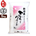 新米入荷 令和8年産 新潟産 ミルキークイーン 5kg 米 もちもち食感