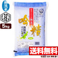 新米 無洗米 令和8年産 新潟産 こしひかり 5kg 吟精
