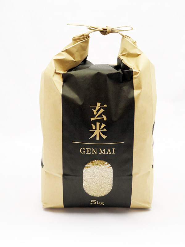 定期便　ななつぼし玄米　20kg（5kg×4） 送料無料（沖縄、離島は除く）