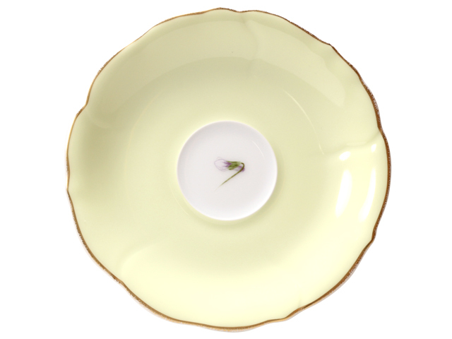 カップ＆ソーサー