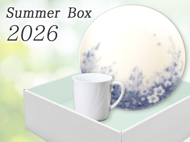 ランチセット マグ 23cmプレートセット